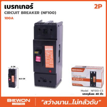 เซอร์กิตเบรกเกอร์เฟรมใหญ่ 2 สาย 100A
