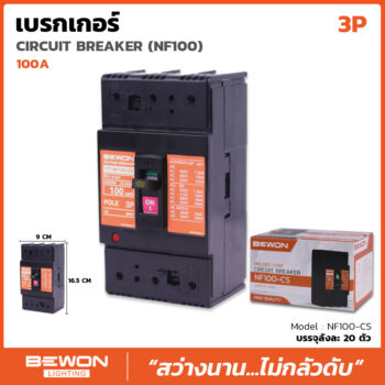 เซอร์กิตเบรกเกอร์เฟรมใหญ่ 3 สาย 100A
