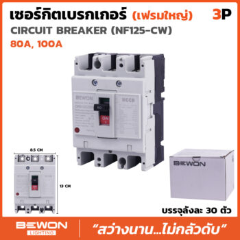 เบรกเกอร์ 3 สาย NF125 (80A,100A)