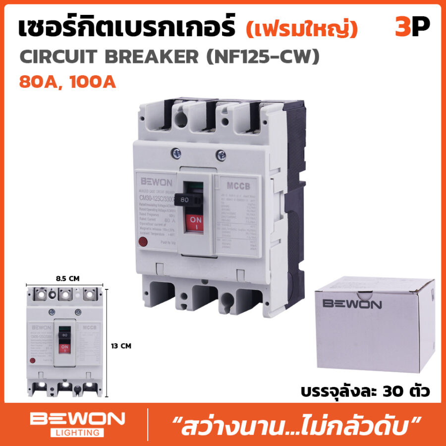 เบรกเกอร์ 3 สาย NF125 (80A,100A)