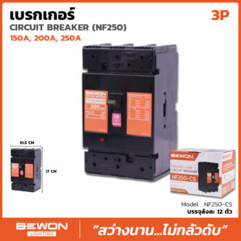 เซอร์กิตเบรกเกอร์เฟรมใหญ่ 3 สาย 250A