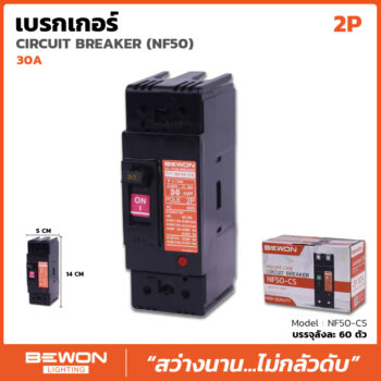 เซอร์กิตเบรกเกอร์เฟรมใหญ่ 2 สาย 30A