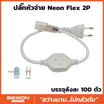 ปลั๊กหัวจ่าย
