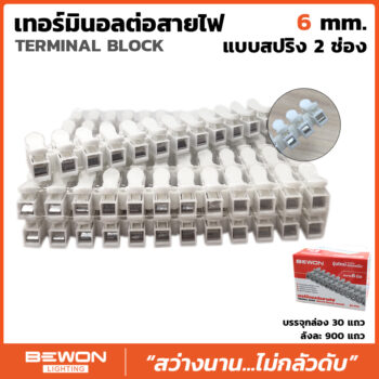 เทอร์มินอลต่อสายไฟแบบสปริง 6mm