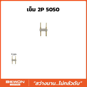 เข็ม 2P 5050