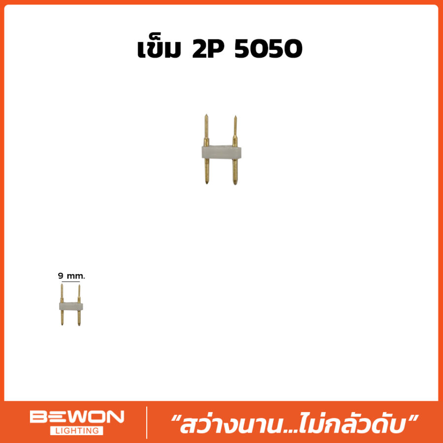 เข็ม 2P 5050