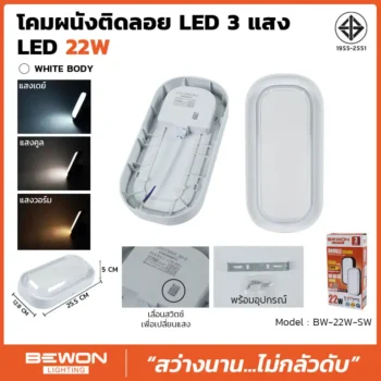 โคมติดลอยผนัง LED ทรงวงรี 22W (สีขาว)