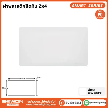 ฝาพลาสติกปิดทึบ 2x4