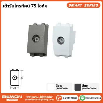 เต้ารับโทรทัศน์