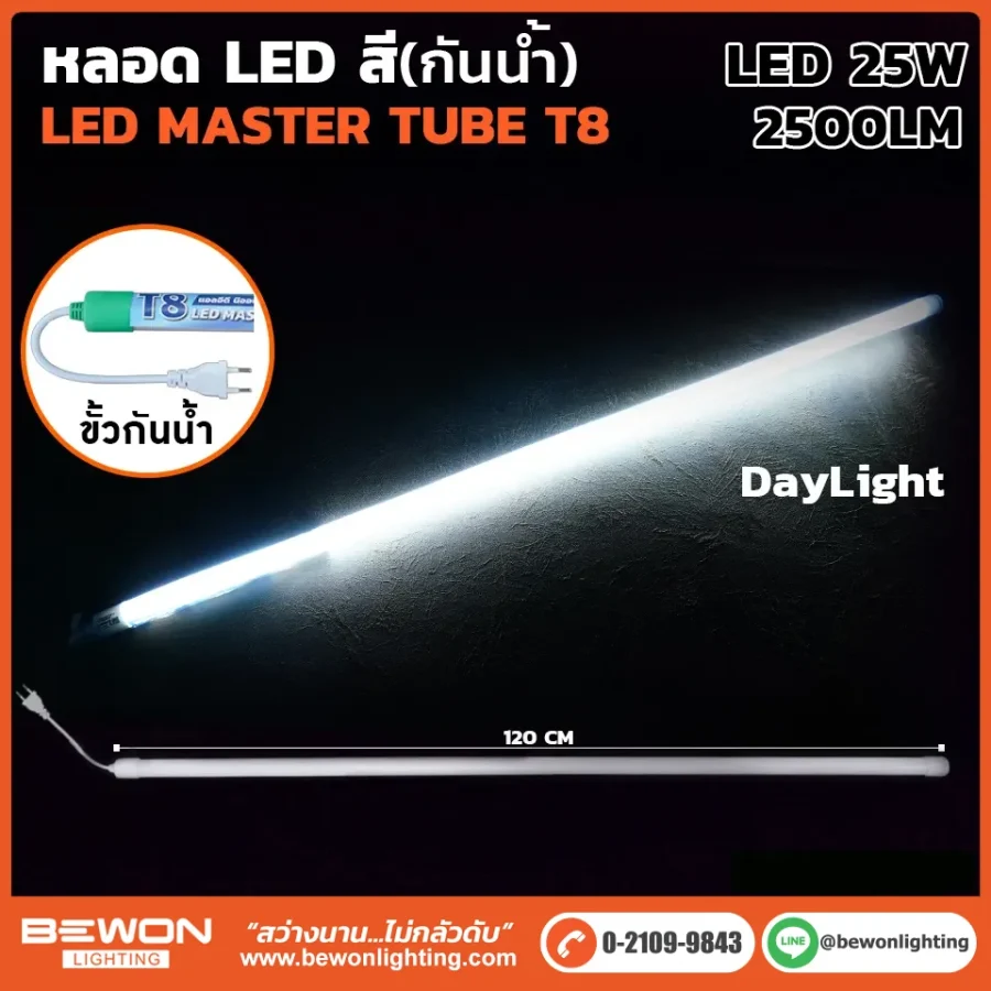 หลอดนีออน BEWON LIGHTING