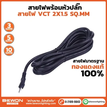 สายไฟพร้อมหัวปลั๊ก VCT 2x1.5