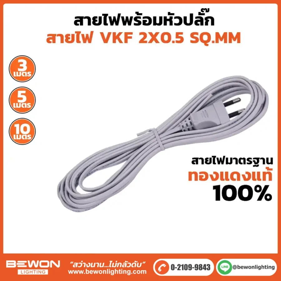 สายไฟพร้อมหัวปลั๊ก VKF 2x0.5