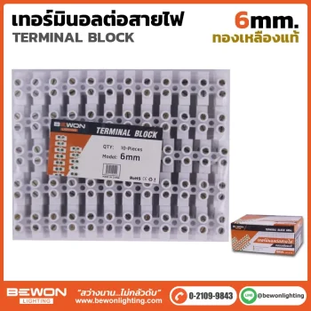 เทอร์มินอลต่อสายไฟ 6 มิล